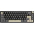 Royal Kludge RK-R65-PHNTM-CHTSW-US