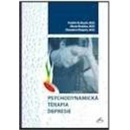 Psychodynamická terapia depresie - Fredric N. Busch, Marie Rudden, Theodore Shapiro