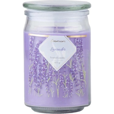 Sconto HAYES lavender fields 453 g