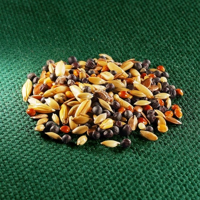 AROS krmná směs – kanár