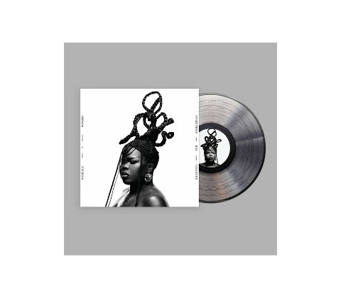 Danielle Ponder - Everything Has Changed LP