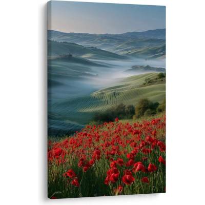 Obraz červené máky v krajině - 60x90