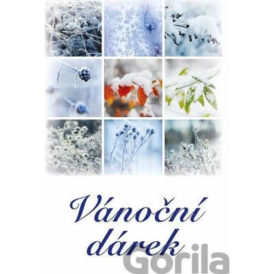 Vánoční dárek - Soubor povídek