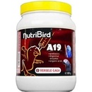 Krmivo pre vtáky Versele-Laga NutriBird A19 0,8 kg