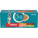 Purina One Sterilcat hovädzí kura losos morka 40 x 85 g