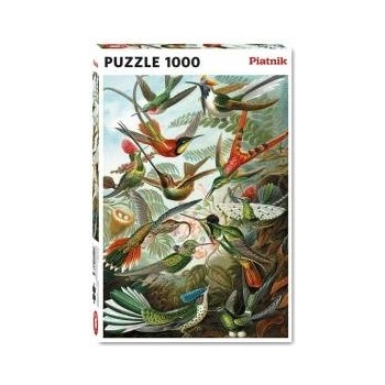 Piatnik Puzzle 1000 - Haeckel, PYATNIK Hummingbirds