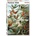 Piatnik Puzzle 1000 - Haeckel, PYATNIK Hummingbirds