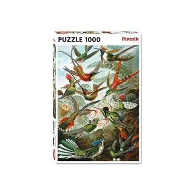 Piatnik Puzzle 1000 - Haeckel, PYATNIK Hummingbirds