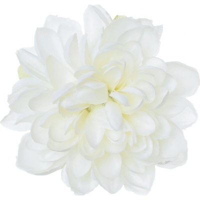 HLAVA DHALIA BIELA P:11CM BAL:24KS