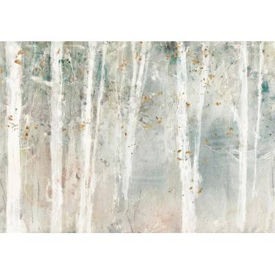 Postershop ForestFototapety vliesové- 368x254 cm