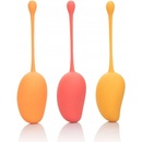 Calexotics KEGEL TRAINING SET