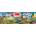 EUROGRAPHICS - Puzzle The Great Race - 1 000 piese