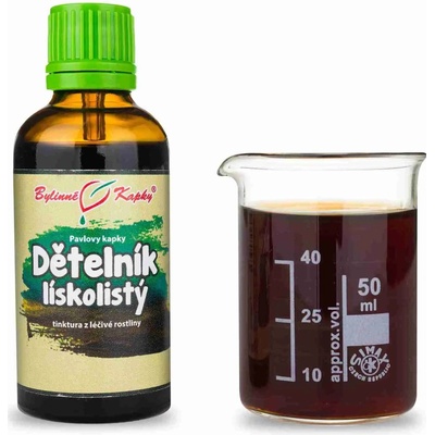 Bylinné kapky Pavlovy Dětelník lískolistý TCM tinktura 50 ml