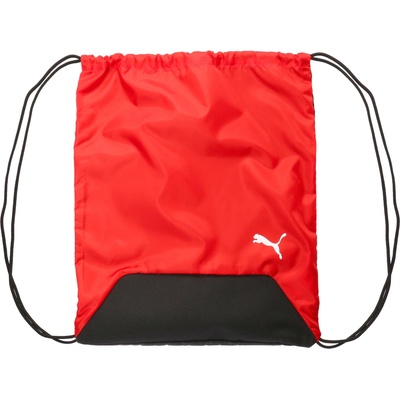 PUMA Teamgoal gym sack