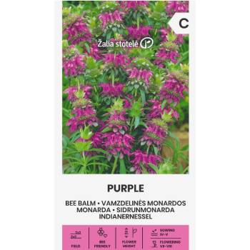 Image 1 of Seklos Монарда Лилава (ПЧЕЛЕН БАЛСАМ) Monarda fistulosa