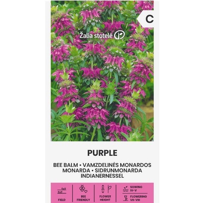 Seklos Монарда Лилава (ПЧЕЛЕН БАЛСАМ) Monarda fistulosa