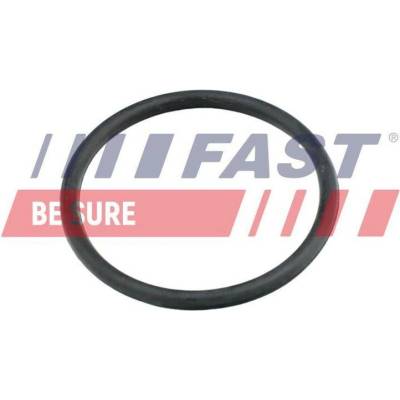 Těsnění, potrubí chladiva FAST FT49920