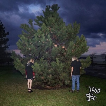 100 Gecs - 1000 Gecs (Reissue) (CD) (0075678617799)