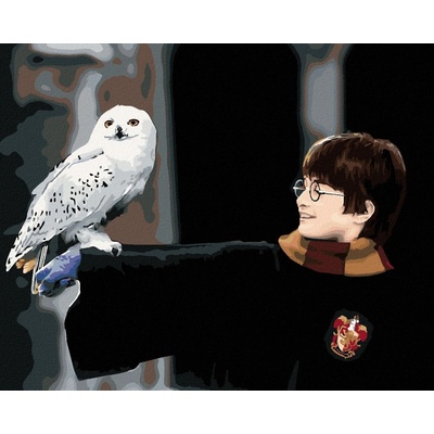 Malování podle čísel Harry Potter s Hedvikou na ruce