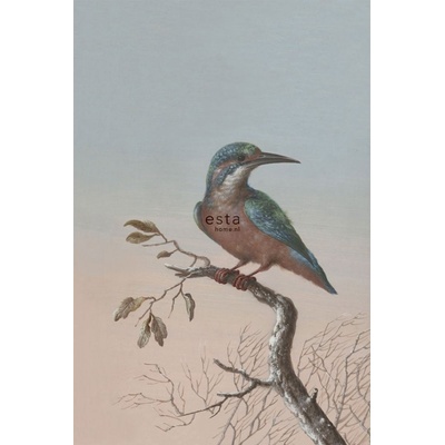 Esta Home 158888 Vliesová obrazová tapeta na zeď Ledňáček rozměry 186 x 279 cm