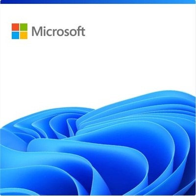 Microsoft Windows 11 Enterprise LTSC 2024 Upgrade (DG7GMGF0PP46-0002)