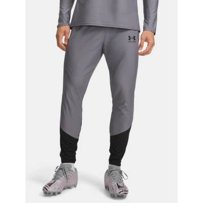 Under Armour 198635289539 šedá