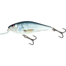 Salmo Executor Shallow Runner 7 cm Floating Real Dace