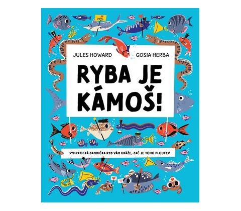 Ryba je kámoš