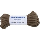 Lowa coyote