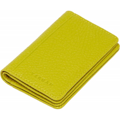 Tergan Калъфи за документи 1601LIME