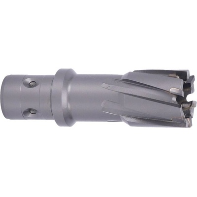 ABSE N-CA-F18-0210035