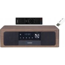 Blaupunkt MS22BT