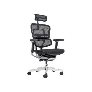 Image 1 of Стол Ergohuman Plus Luxury II DM Black