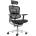 Стол Ergohuman Plus Luxury II DM Black