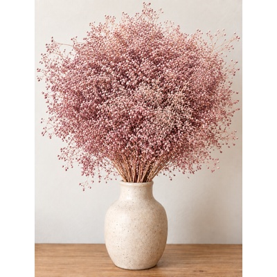 Stabilizovaná mini Gypsophila svazek nostalgia rose 90g-95g