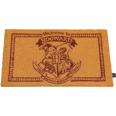 SD Toys Harry Potter Welcome to Hogwarts 60 x 40 cm SDTWRN22196