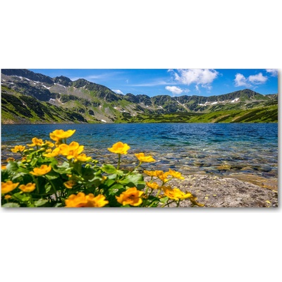 Fotoobraz na skle Jazero v horách 100x50 cm