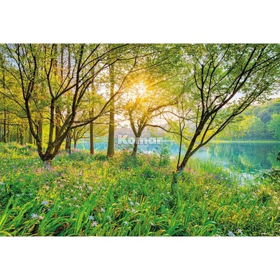 Komar Papierová fototapeta Spring Lake, rozměry 368 x 254 cm