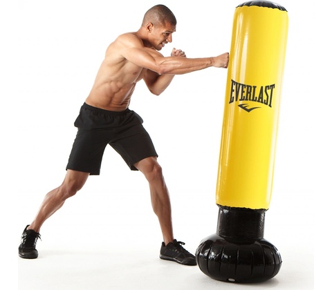 Everlast Power Tower