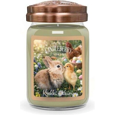 Candleberry Křehká setkání 624 g