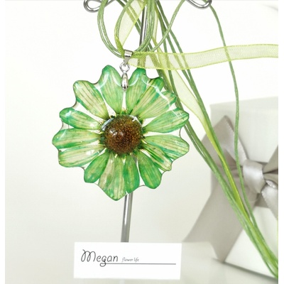 Meganflo Зелена Маргарита