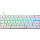 White Shark SHINOBI-2-W-US-BLUE