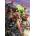 Clementoni - Puzzle Compact DC Comics Justice League II - 1 000 piese