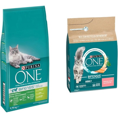 PURINA ONE Indoor Formula 9,7 kg