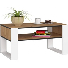 Ak furniture DOMI dub craft zlatý / bílý