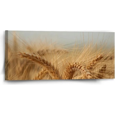 Sablio Obraz Klasy 2 - 110x50 cm