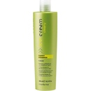 Inebrya Cleany šampón proti lupinám pre citlivú pokožku hlavy Anti-Dandruff Shampoo for Delicate and Impure Scalps 300 ml