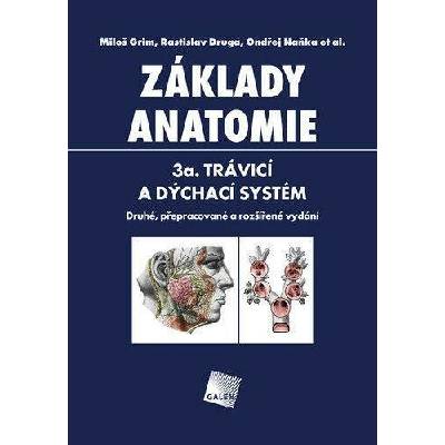 Základy anatomie