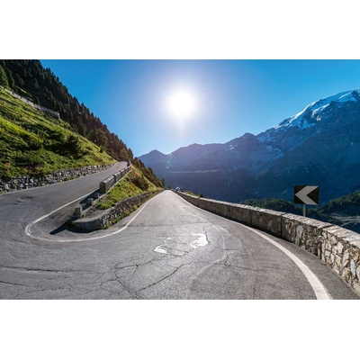 DIMEX ART Флизелинов фототапет път в алпите 375 x 250 см