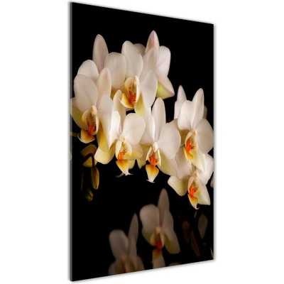 Vertikálny fotoobraz na skle Orchidea 50x100 cm